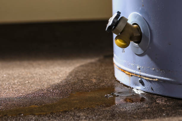 Best Mold removal after water damage  in Far Hills, NJ