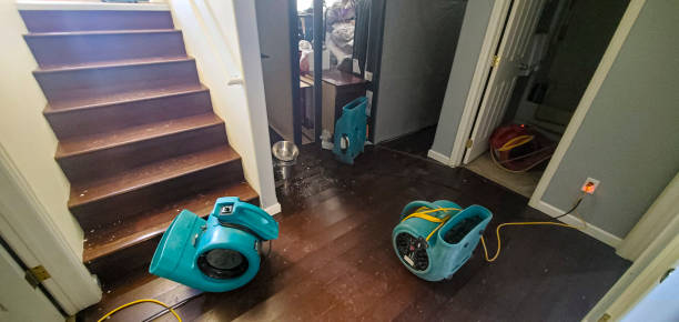 Best Water damage cleanup near me  in Far Hills, NJ