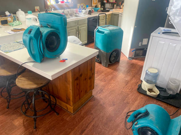 Best Professional water damage repair  in Far Hills, NJ