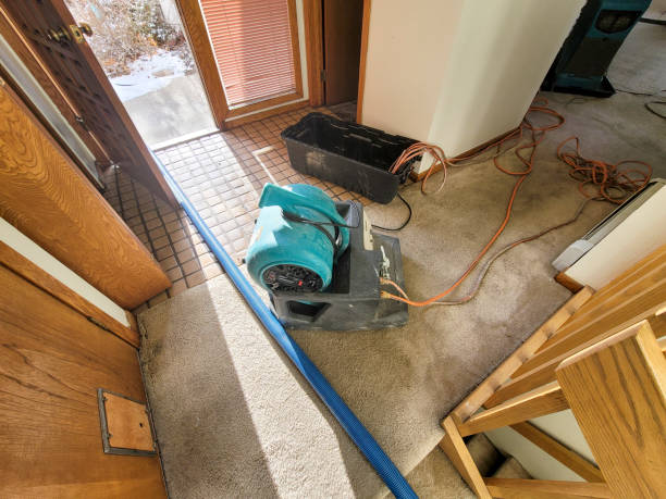 Best Local water damage restoration  in Far Hills, NJ