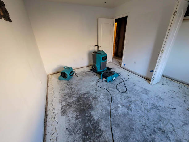 Best Sewage cleanup and water damage restoration  in Far Hills, NJ