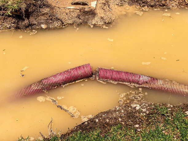 Best Flood damage cleanup  in Far Hills, NJ